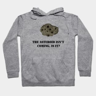 I Was Told There Would Be An Asteroid? Hoodie